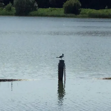 Bed & Breakfast De Indiaan