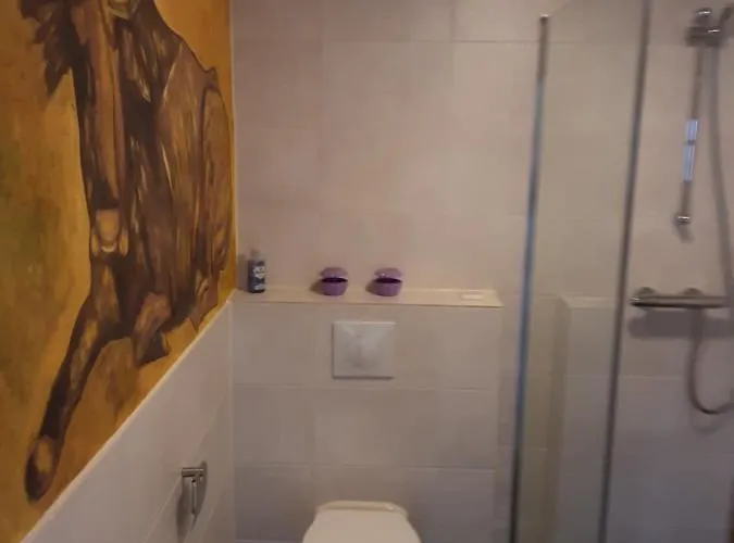 De Indiaan Frühstückspension 4*