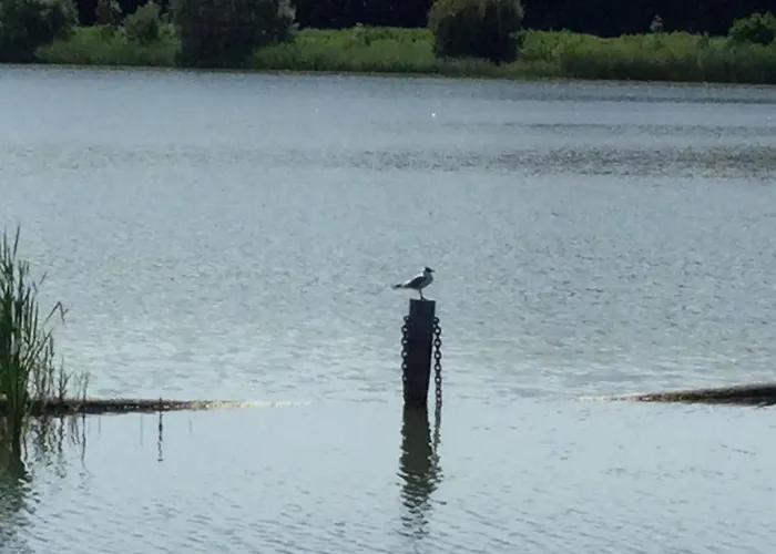 Frühstückspension De Indiaan